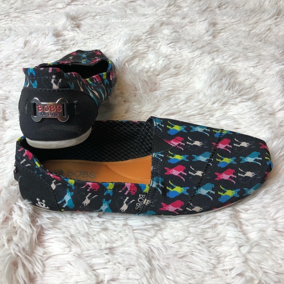 bobs for dogs boston terrier